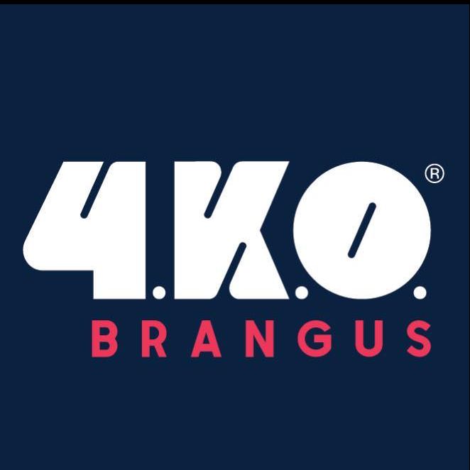 4KO BRANGUS