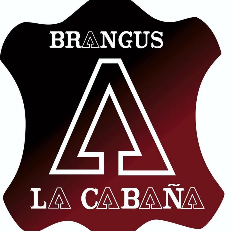 BRANGUS LA CABAÑA