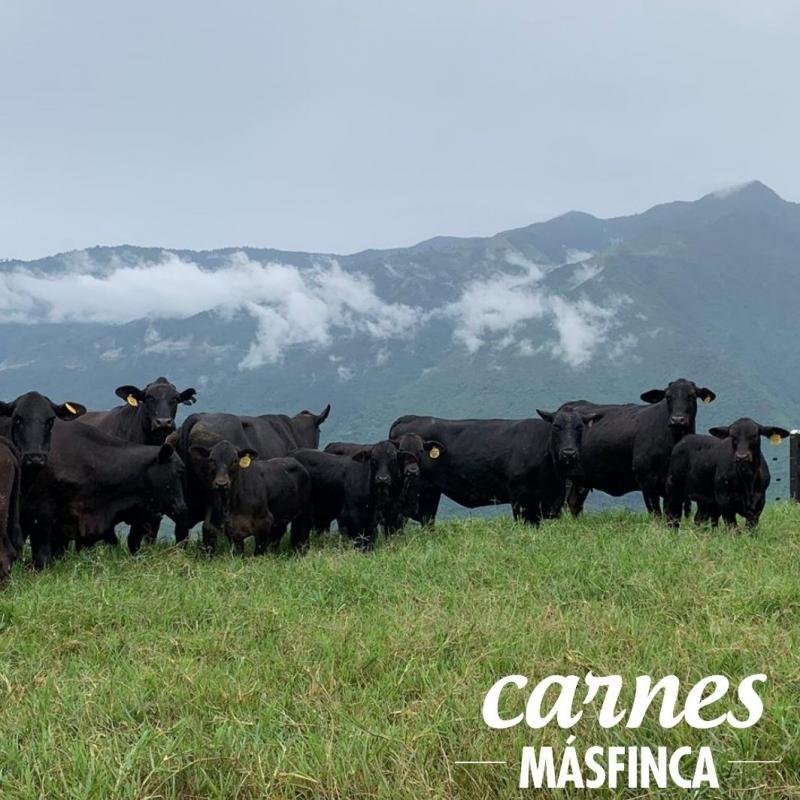 Carnes MásFinca