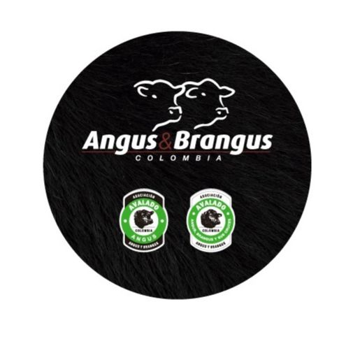 CORONA ANGUS & BRANGUS