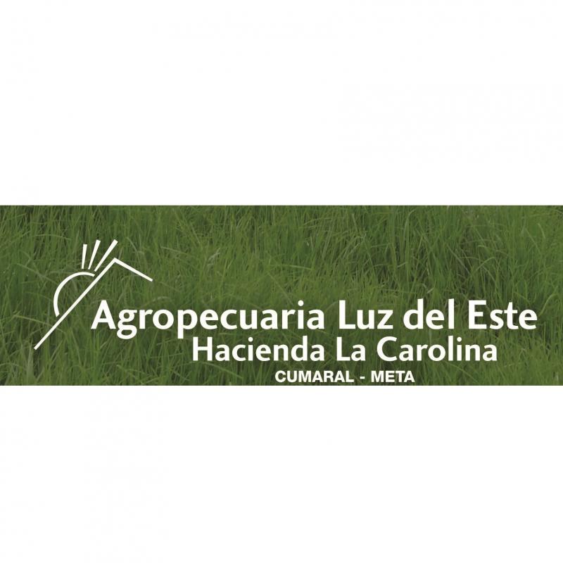 AGROPECUARIA LUZ DEL ESTE