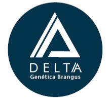 DELTA BRANGUS